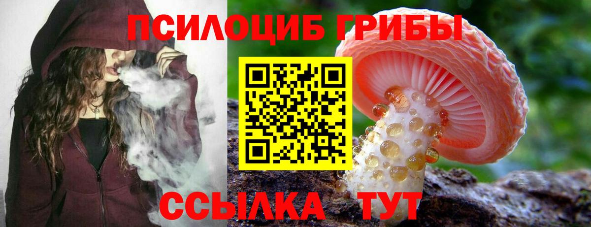 Галлюциногенные грибы ЛСД Ленинск-Кузнецкий